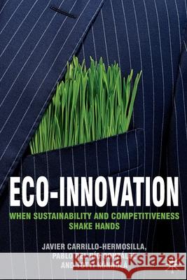 Eco-Innovation: When Sustainability and Competitiveness Shake Hands Carrillo-Hermosilla, Javier 9781349300198 Palgrave Macmillan