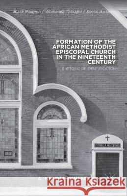 Formation of the African Methodist Episcopal Church in the Nineteenth Century: Rhetoric of Identification Owens, A. 9781349466214