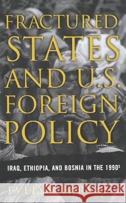 Fractured States and U.S. Foreign Policy: Iraq, Ethiopia, and Bosnia in the 1990s Evelyn N. Farkas E. Farkas 9781349527656 Palgrave MacMillan