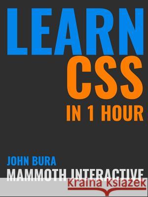 Learn CSS in 1 Hour John Bura 9781365522680