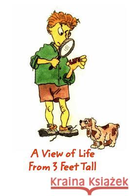A View of Life From 3 Feet Tall Brisson, John 9781367091221