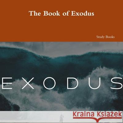 The Book of Exodus Yvonne Young 9781387335695