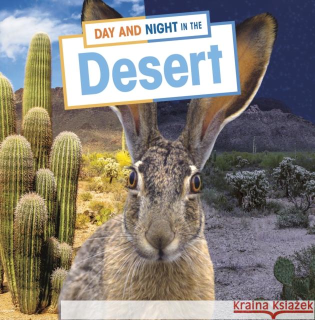 Day and Night in the Desert Ellen Labrecque 9781398241770 Capstone Global Library Ltd
