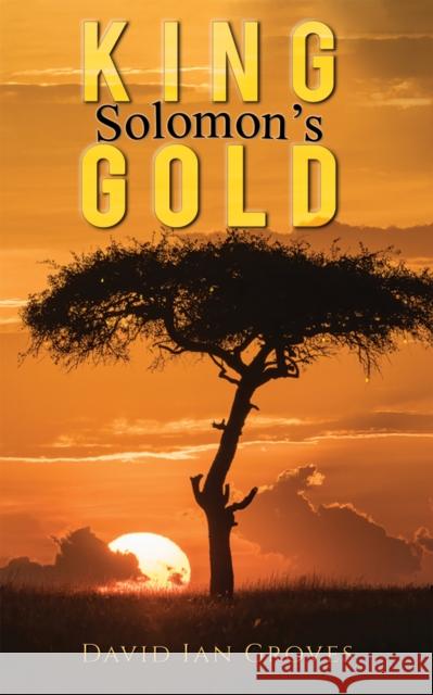 King Solomon's Gold David Ian Groves 9781398401990