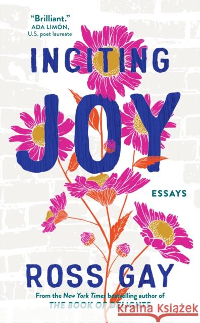 Inciting Joy: Essays Ross Gay 9781399716017