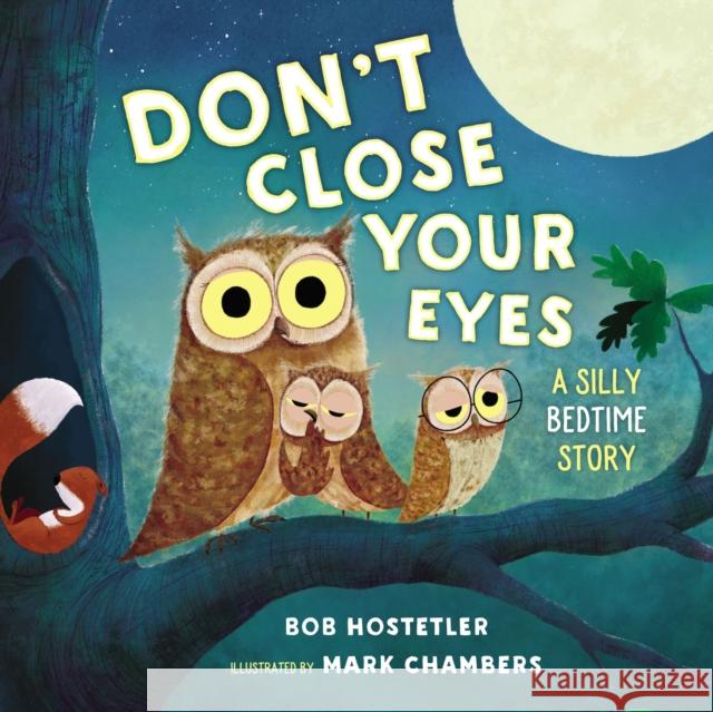 Don't Close Your Eyes: A Silly Bedtime Story Bob Hostetler Mark Chambers 9781400209514 Thomas Nelson