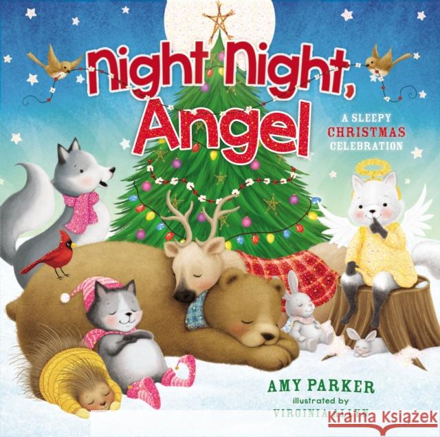 Night Night, Angel: A Sleepy Christmas Celebration Amy Parker Virginia Allyn 9781400212835 Thomas Nelson