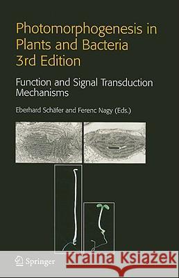 Photomorphogenesis in Plants and Bacteria: Function and Signal Transduction Mechanisms Eberhard Schc$fer Ferenc Nagy Eberhard Schdfer 9781402038105 Springer London