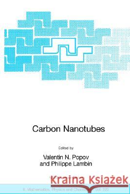 Carbon Nanotubes: From Basic Research to Nanotechnology V. N. Popov Valentin N. Popov Philippe Lambin 9781402045721
