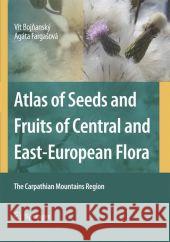 Atlas of Seeds and Fruits of Central and East-European Flora: The Carpathian Mountains Region Bojnanský, Vít 9781402053610 Springer