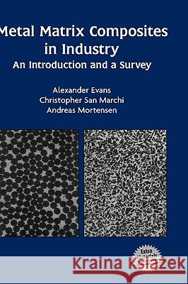 Metal Matrix Composites in Industry: An Introduction and a Survey Evans, Alexander 9781402075216 Kluwer Academic Publishers