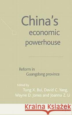 China's Economic Powerhouse: Economic Reform in Guangdong Province Bui, T. 9781403903853 Palgrave MacMillan