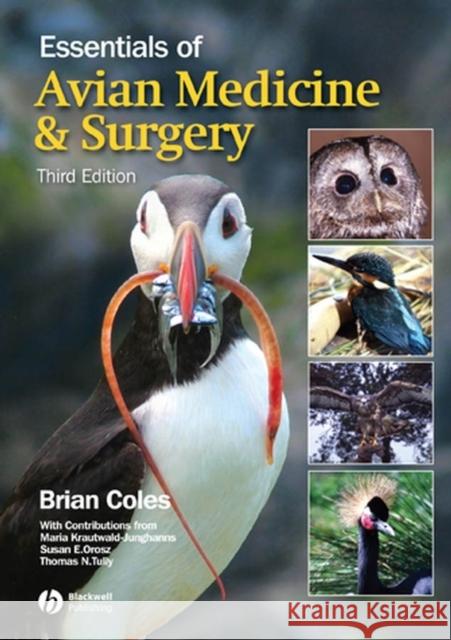 Essentials of Avian Medicine and Surgery B. H. Coles 9781405157551 Blackwell Publishing Professional