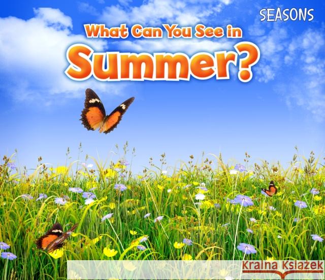 What Can You See In Summer? Sian Smith 9781406283280 Raintree