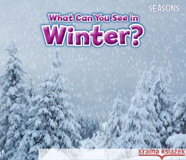 What Can You See In Winter? Sian Smith 9781406283297 Capstone Global Library Ltd