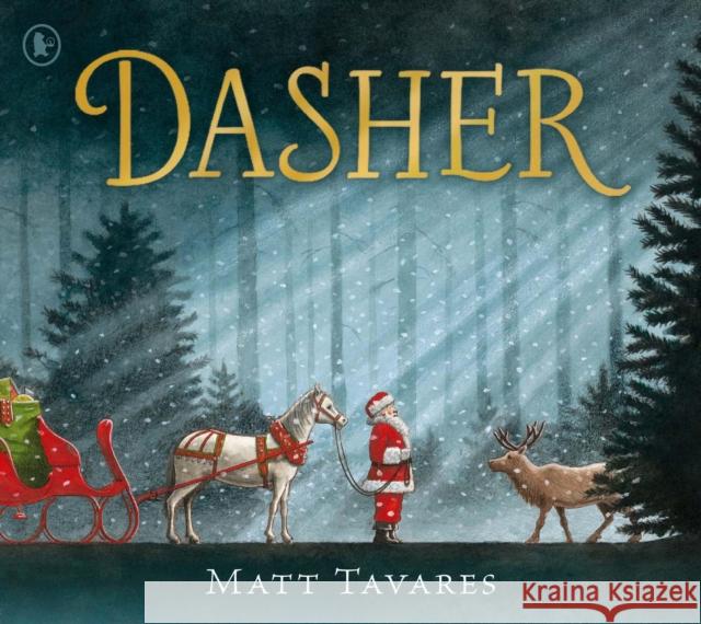 Dasher: How a Brave Little Doe Changed Christmas Forever Matt Tavares 9781406393057