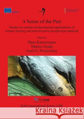 A Sense of the Past: Studies in current archaeological applications of remote sensing and non-invasive prospection methods Kamermans, Hans 9781407312163