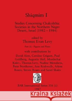 Shiqmim I, Part ii: Studies Concerning Chalcolithic Societies in the Northern Negev Desert, Israel (1982-1984). Figures and Plates Thomas Evan Levy   9781407388489