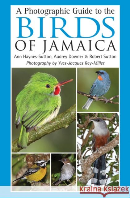 A Photographic Guide to the Birds of Jamaica Ann Haynes-Sutton, Yves-Jacques Rey-Millet, Audrey Downer, Robert Sutton, Yves-Jacques Rey-Millet 9781408107430