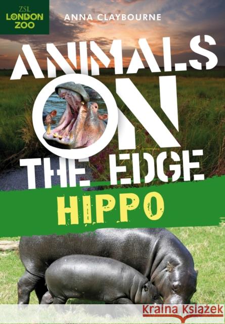 Hippo Anna Claybourne 9781408149614 Bloomsbury Publishing PLC
