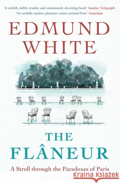 The Flaneur Edmund White 9781408864760