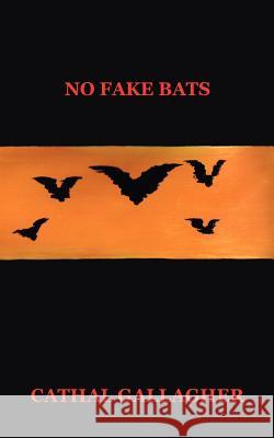 No Fake Bats Cathal Gallagher 9781412028875 Trafford Publishing