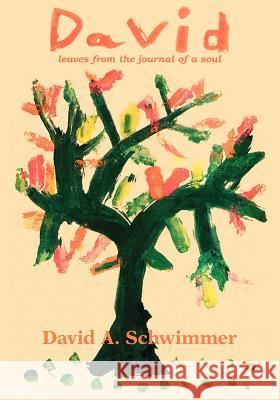 David: Leaves from the Journal of a Soul Schwimmer, David A. 9781412077361