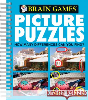 Brain Games - Picture Puzzles #4: How Many Differences Can You Find?: Volume 4 Publications International Ltd, Brain Games 9781412799669