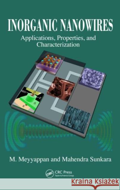 Inorganic Nanowires: Applications, Properties, and Characterization Meyyappan, M. 9781420067828