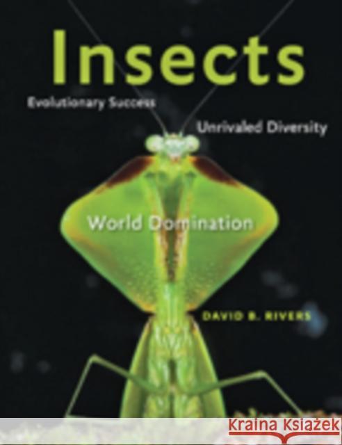 Insects: Evolutionary Success, Unrivaled Diversity, and World Domination Rivers, David B. 9781421421704 John Wiley & Sons