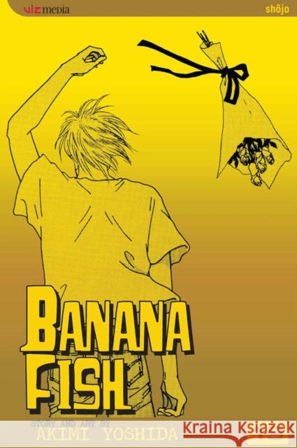 Banana Fish, Vol. 19 Akimi Yoshida 9781421508771 Viz Media, Subs. of Shogakukan Inc