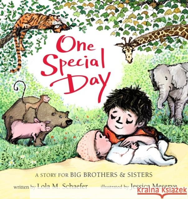 One Special Day: A Story for Big Brothers and Sisters Schaefer, Lola 9781423137603 Hyperion Books