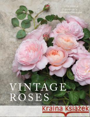 Vintage Roses: Beautiful Varieties for Home and Garden Eastoe, Jane 9781423646716