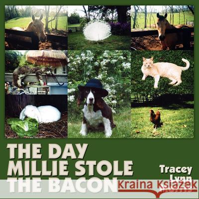 The Day Millie Stole the Bacon Morris, Tracey Lynn 9781425929367