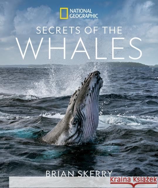 Secrets of the Whales Brian Skerry 9781426221873 National Geographic Society