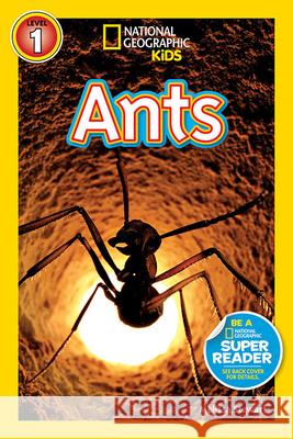 National Geographic Readers: Ants Melissa Stewart 9781426306082 National Geographic Society