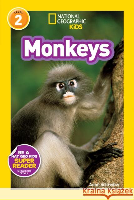 Monkeys Anne Schreiber 9781426311062 National Geographic Society