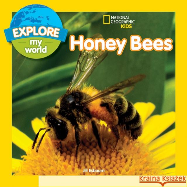Explore My World: Honey Bees Jill Esbaum 9781426327131 National Geographic Kids