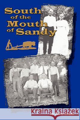 South of the Mouth of Sandy Christopher Terry Evans 9781434338778