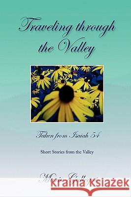 Traveling Through the Valley Maria Gallegos 9781436313728 Xlibris Corporation