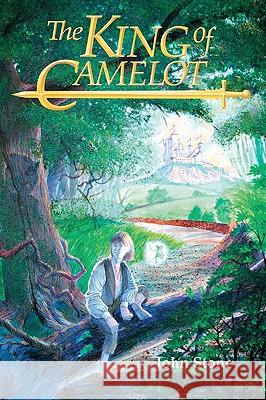 The King Of Camelot: Part 1 Stone, John 9781438235448
