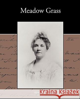 Meadow Grass Alice Brown 9781438573694