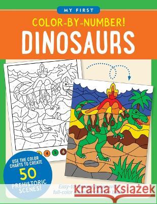 Color-By-Number! Dinosaurs Martha Zschock 9781441341563 Peter Pauper Press