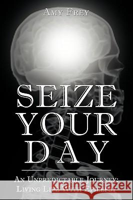 Seize Your Day Amy Frey 9781441524188
