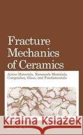 Fracture Mechanics of Ceramics: Active Materials, Nanoscale Materials, Composites, Glass, and Fundamentals Bradt, R. C. 9781441936929 Not Avail