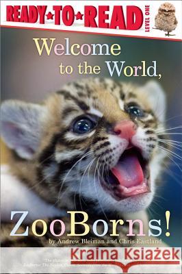 Welcome to the World, Zooborns!: Ready-To-Read Level 1 Bleiman, Andrew 9781442443778 Simon Spotlight