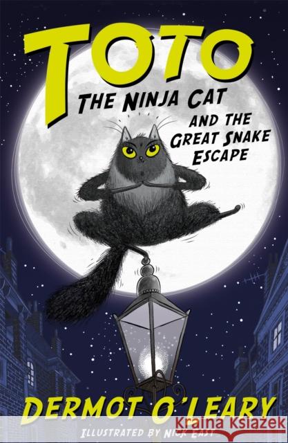 Toto the Ninja Cat and the Great Snake Escape: Book 1 O'Leary, Dermot 9781444939453