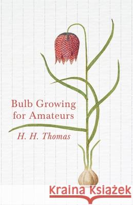 Bulb Growing for Amateurs H. H. Thomas 9781446525753 Read Country Books