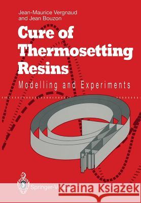 Cure of Thermosetting Resins: Modelling and Experiments Vergnaud, Jean-Maurice 9781447119173