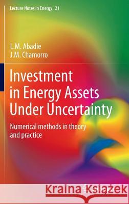 Investment in Energy Assets Under Uncertainty: Numerical Methods in Theory and Practice Abadie, L. M. 9781447155911